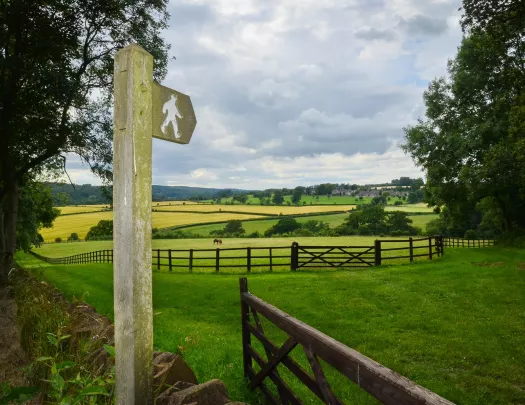 Horse fencing in a large grassy field