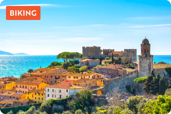 Sky view of a town by the ocean