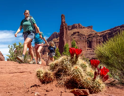 Group of women hiking through a desert, with cacti on the ground and tall canyons in the background