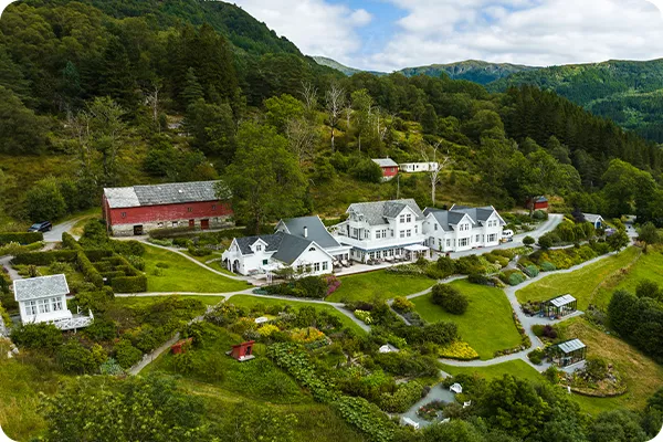 houses in a green landscape surrounded by trees