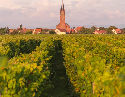View of a Town from Cropland in Alsace