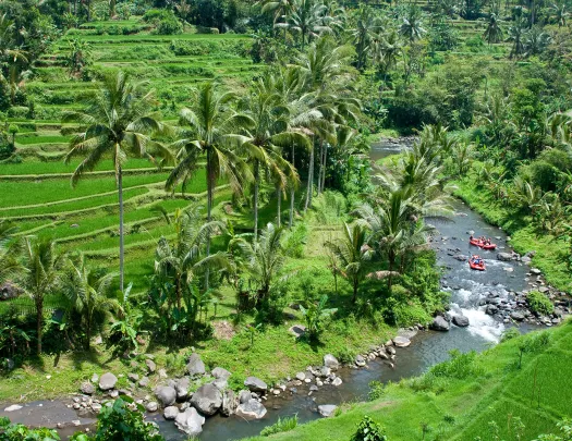 Guests rafting down river, forest, palm trees, grasslands surrounding.