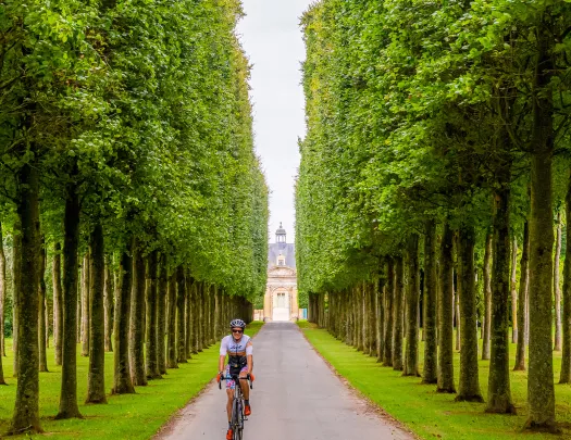 Backroads Guest Biking Through Tree Path