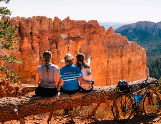 Three guests sitting on downed tree, over looking orange-rock valley, cliffside.