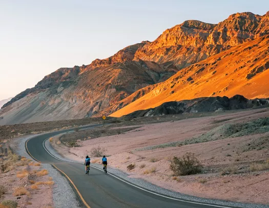 Guests riding down desert road during sunset.