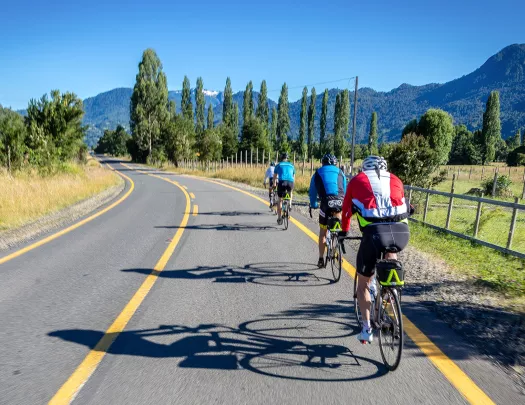 Row of 4 people riding bikes on a road