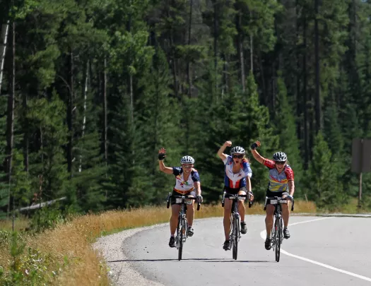 Three bikers on a road with trees in the background