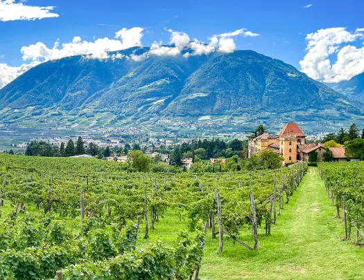 Wide shot of Ramez Castle, large mountain in background.
