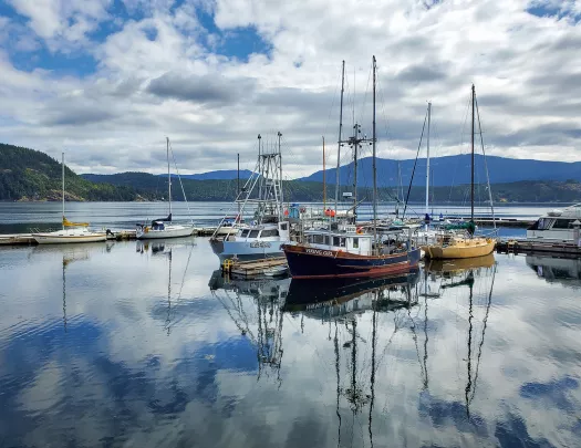 Wide shot of sailboats on the water.