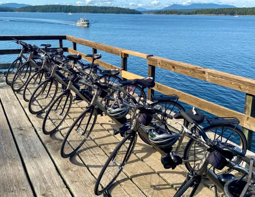 Bikes lined up on a wooden dock by the ocean