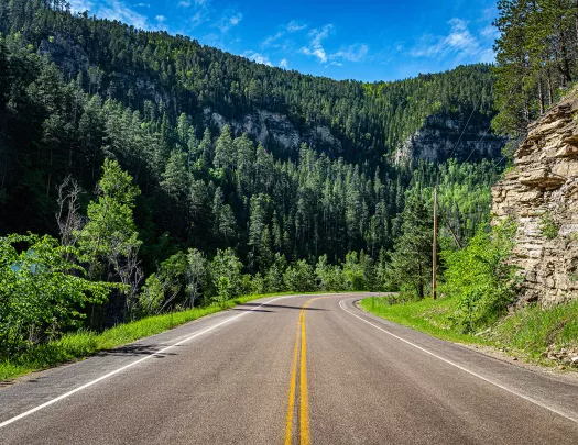 A scenic route with trees and mountains in the background 