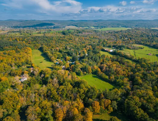 Open valley with large trees and patches of green grass