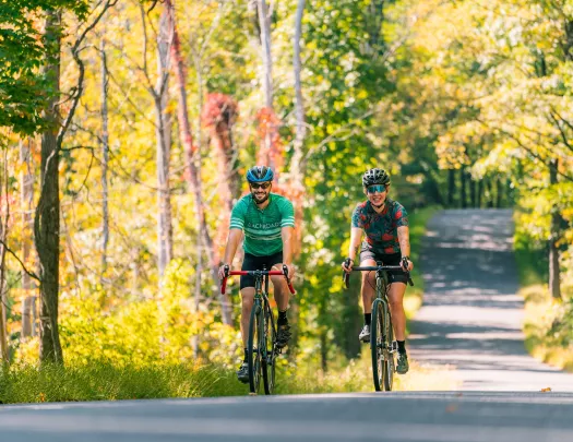 Man and woman riding bikes on an empty road, with tall trees surrounding the road
