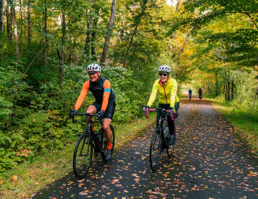Two bikers biking down a tree lined road