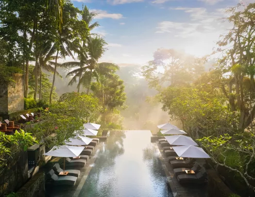 Outdoor infinity pool with reclining chairs surrounding and views of a forest