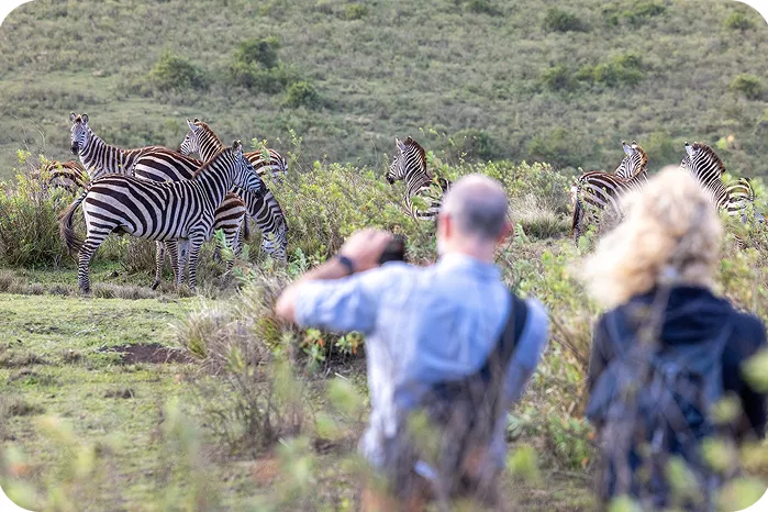 Backroads guests stop to photograph wildlife