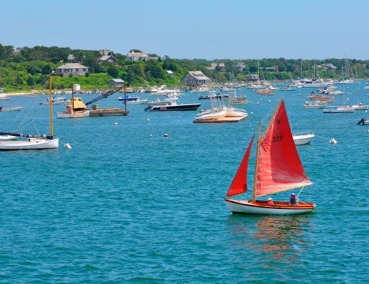 Wide shot of a bay full of sailboats.