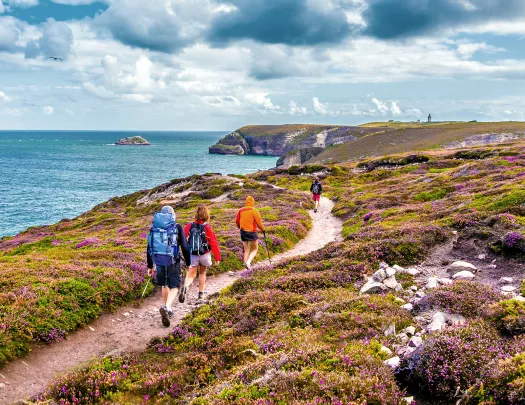 Hiking Along the Coasts of Bretagne at Cap Frehel Peninsula Viewpoint