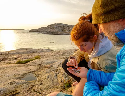 Father and daughter looking at seashells on a beach