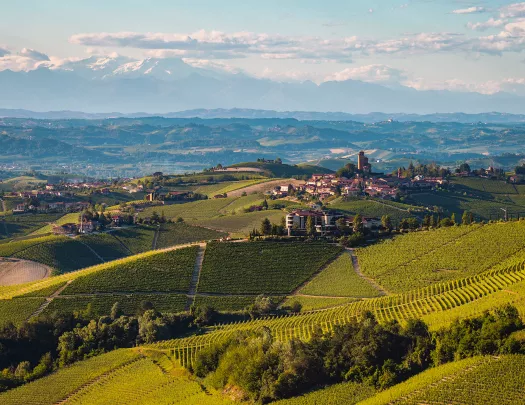 Large valley with crop fields and small towns
