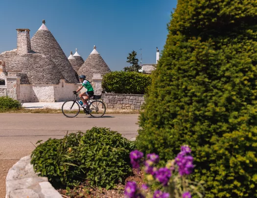 Guest biking in Alberobello, large bush obscuring half the shot.