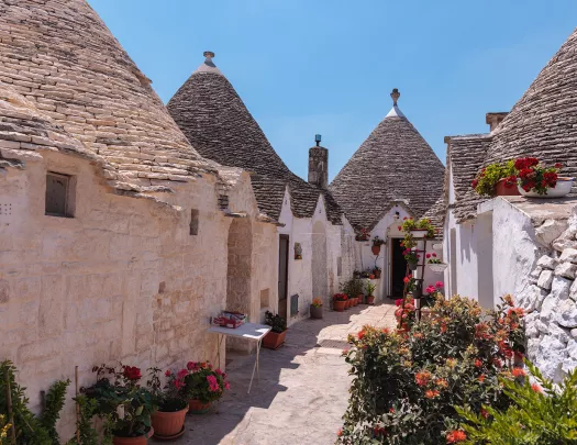 White, brick buildings with a small pathway