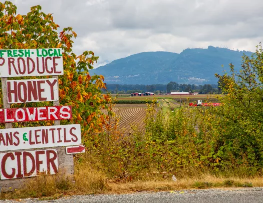 "LOCAL PRODUCE" sign, crops and farm in background.