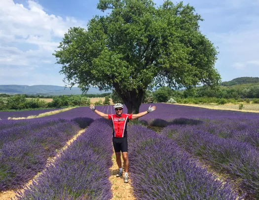 Backroads Guest in Lavender Field