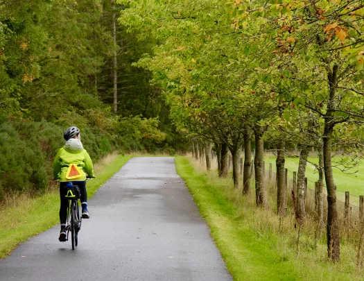 Cyclist riding e-bike down road.