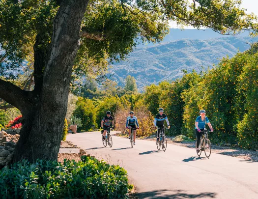 Guests riding past tall flower bushes in desert.