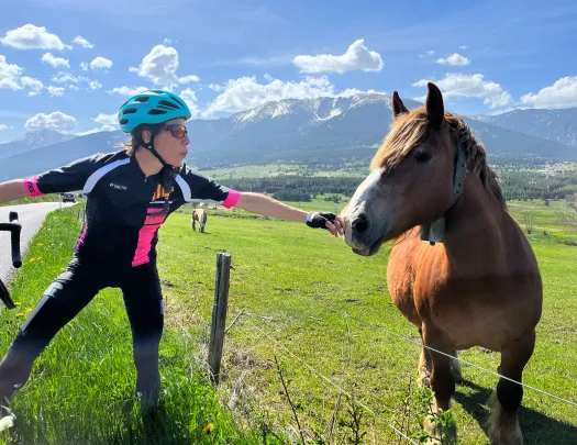 Guest petting horse on side of the road.