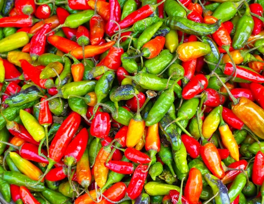 Red, yellow and green chili peppers