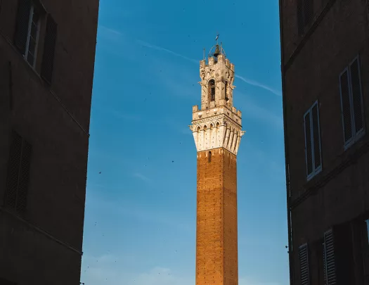 Shot of alleyway, clock tower.