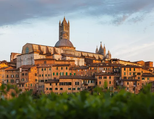 Wide shot of the Duomo di Siena.