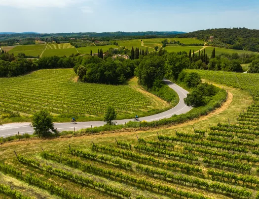 Two guests cycling down vineyard road towards villa.