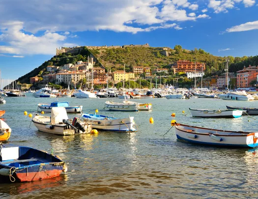 Shot of bay full of sailboats, colorful multi-tier housing on hillside in distance.
