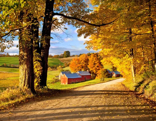 Wide shot of road, farmhouse, trees, hills in distance.