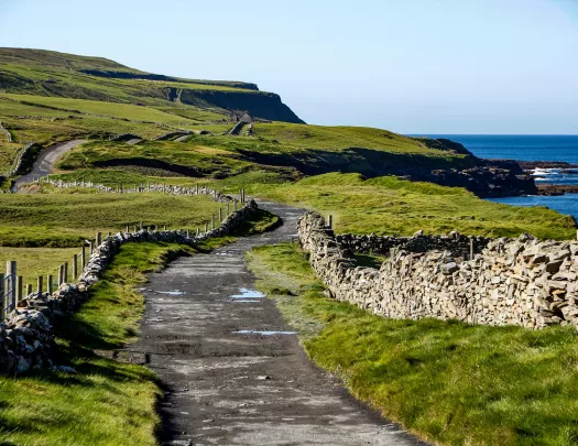 Dirt trail surrounded by grassy fields with the ocean to the right