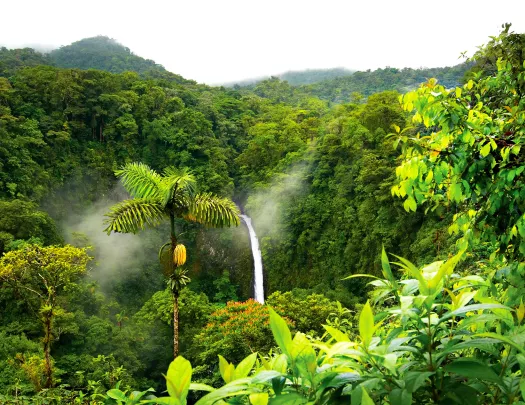 Birds Eye View Waterfall Costa Rica
