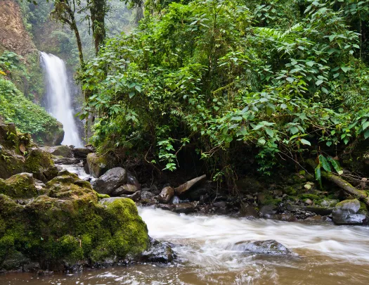 Waterfall  from Trail Costa Rica