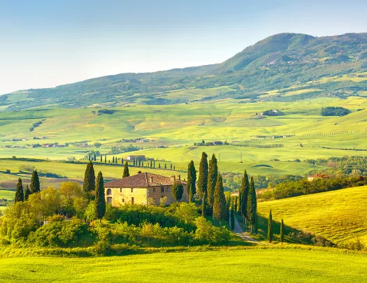 Wide shot of Tuscan countryside.