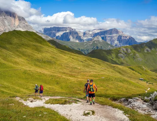 Group of people walking in a grassy valley towards tall mountains
