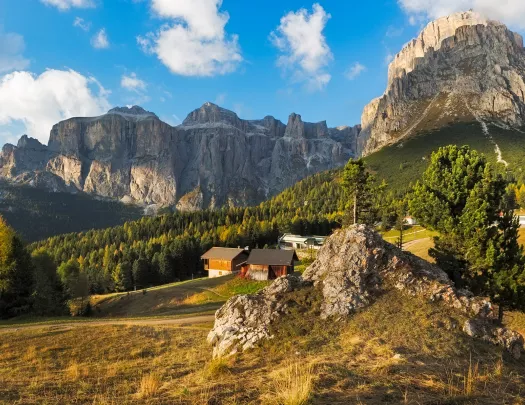 Grassy hill with a house and a forest and mountains in the background