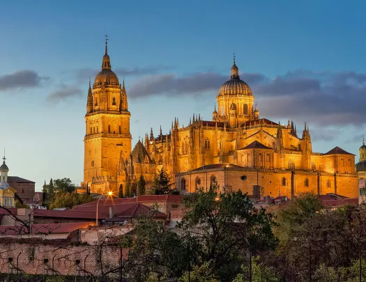 Wide shot of the Salamanca Cathedral at nighttime, light illuminating it.