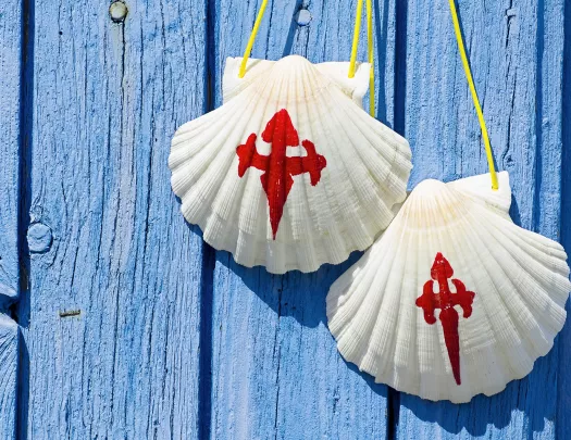 Close-up of painted shells on blue wood wall.
