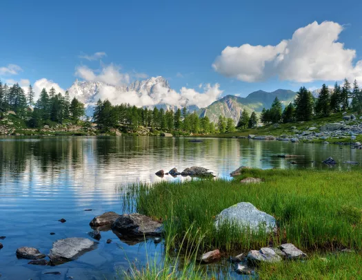Lake surrounded by rocks, grass and trees