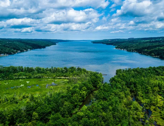 Wide shot of river, forest in foreground.
