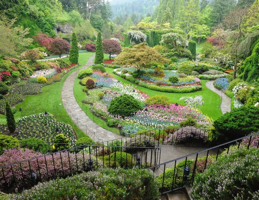 Outdoor garden full of flowers, trees and bushes