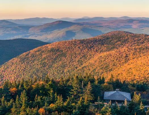 Large field of orange and green trees hit by the sun