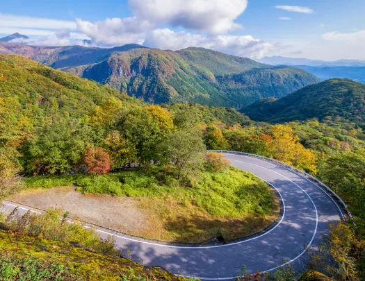 winding road through forested mountains